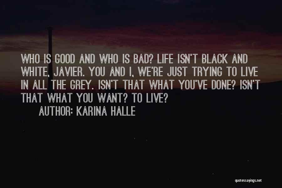 Black And Grey Quotes By Karina Halle