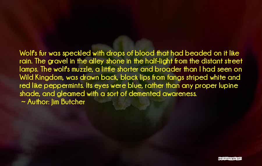 Black And Red Quotes By Jim Butcher