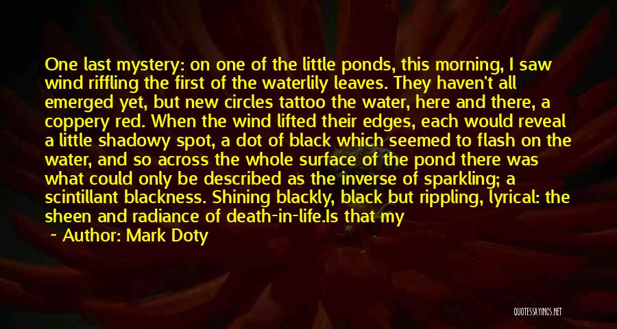 Black And Red Quotes By Mark Doty