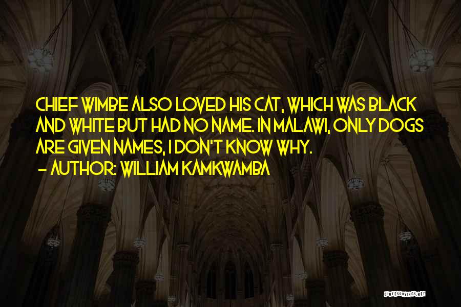 Black And White Cats Quotes By William Kamkwamba