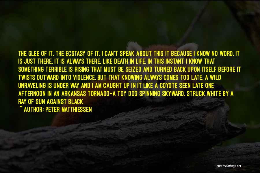 Black And White Dog Quotes By Peter Matthiessen
