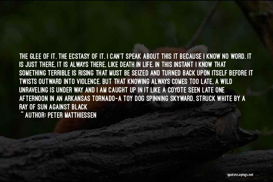 Black And White Of Life Quotes By Peter Matthiessen