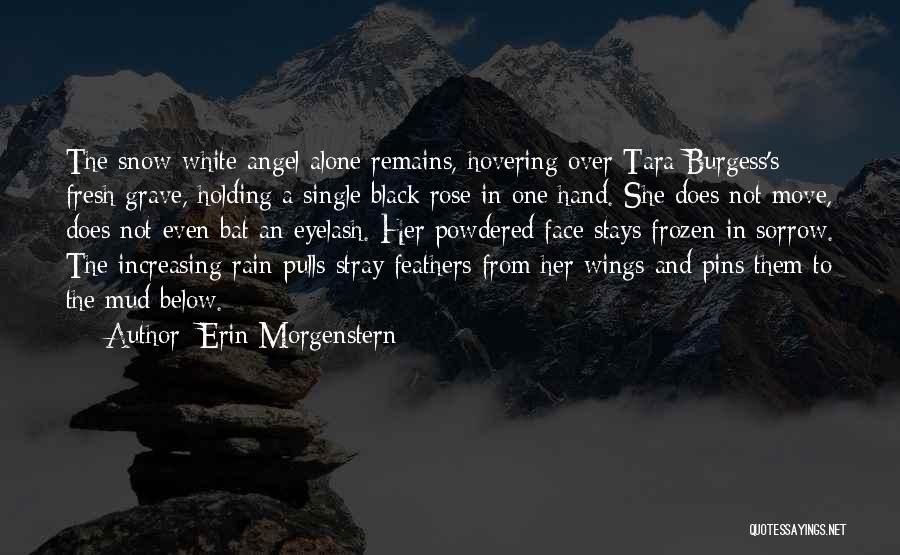 Black And White Rose Quotes By Erin Morgenstern