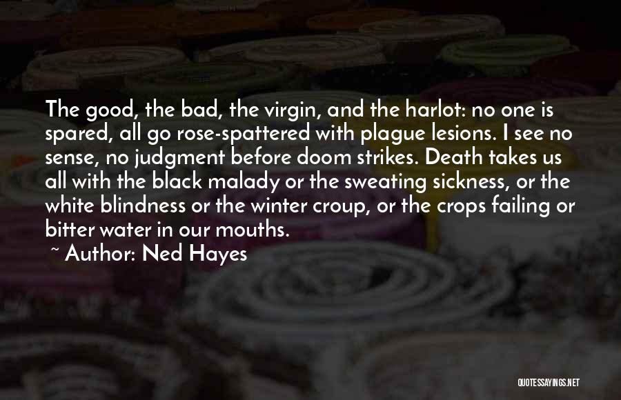 Black And White Rose Quotes By Ned Hayes