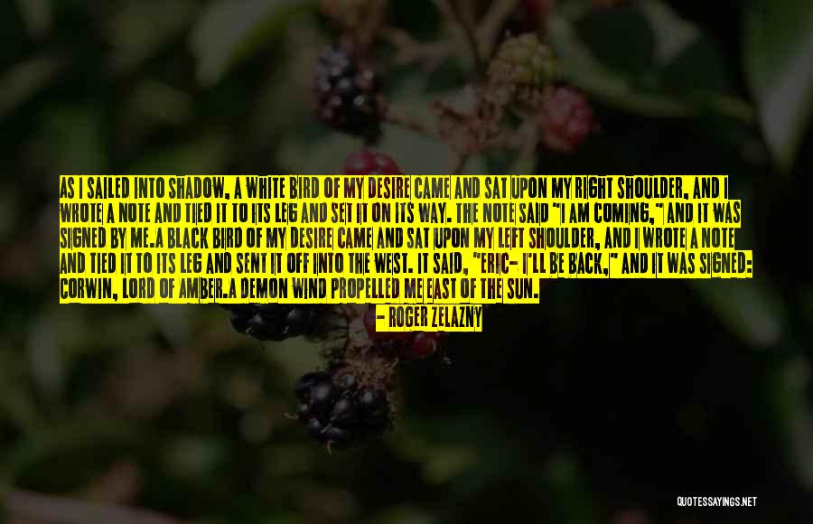 Black And White Shadow Quotes By Roger Zelazny Black And White Shadow Quotes By Roger Zelazny