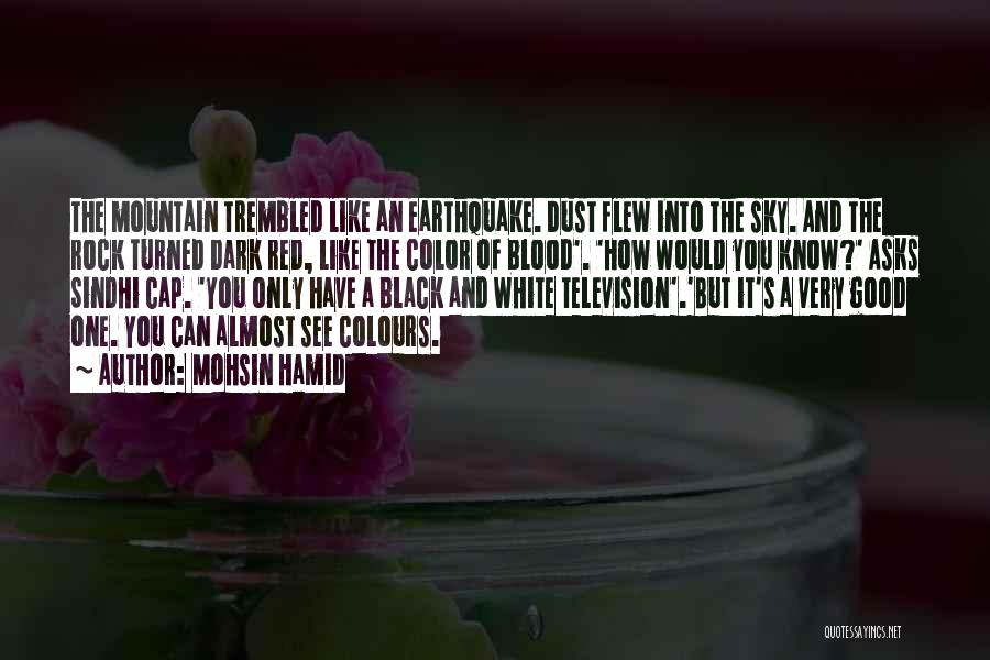 Black And White Sky Quotes By Mohsin Hamid