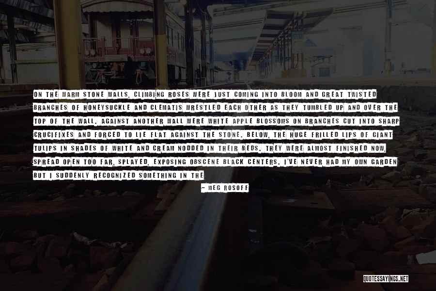 Black And White Wall Quotes By Meg Rosoff Black And White Wall Quotes By Meg Rosoff