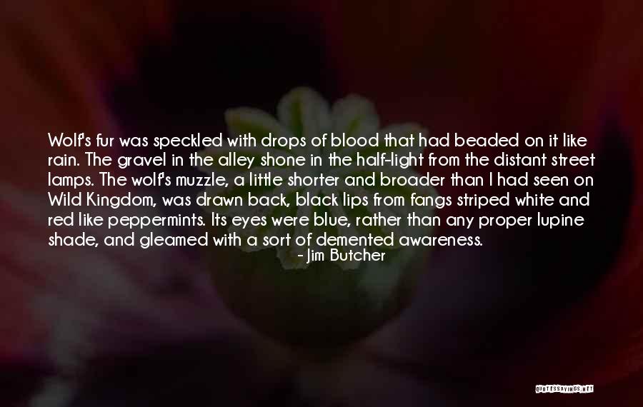 Black And White With Quotes By Jim Butcher Black And White With Quotes By Jim Butcher