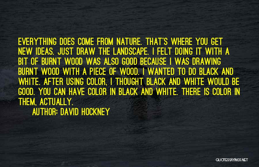 Black And White Wood Quotes By David Hockney