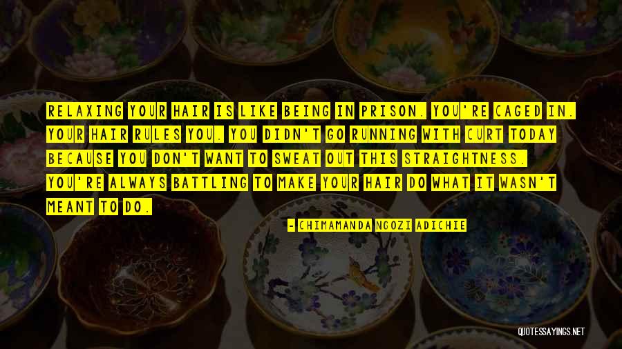 Black Authors Quotes By Chimamanda Ngozi Adichie Black Authors Quotes By Chimamanda Ngozi Adichie