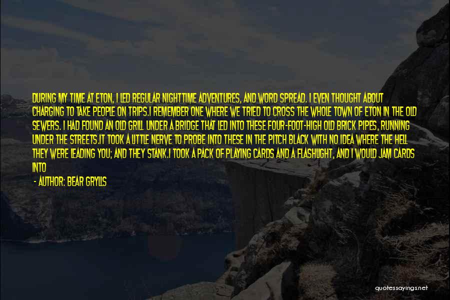 Black Bear Quotes By Bear Grylls