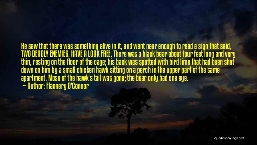 Black Bear Quotes By Flannery O'Connor