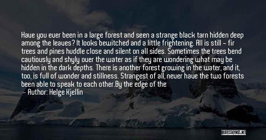 Black Bear Quotes By Helge Kjellin