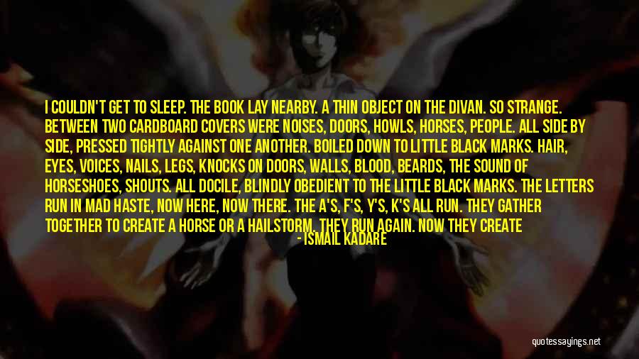 Black Beards Quotes By Ismail Kadare Black Beards Quotes By Ismail Kadare