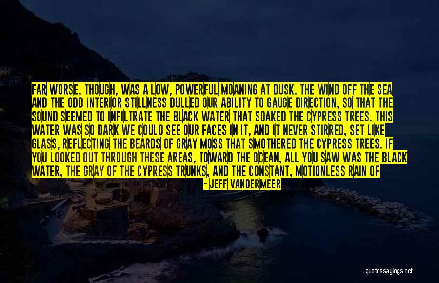 Black Beards Quotes By Jeff VanderMeer Black Beards Quotes By Jeff VanderMeer