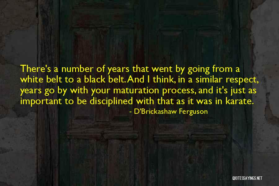 Black Belt Karate Quotes By D'Brickashaw Ferguson Black Belt Karate Quotes By D'Brickashaw Ferguson