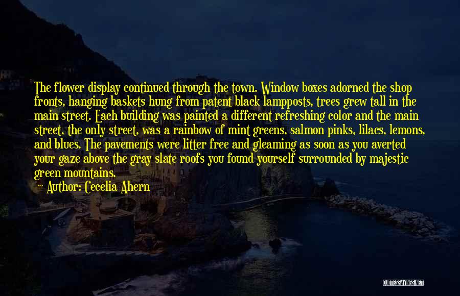 Black Boxes Quotes By Cecelia Ahern