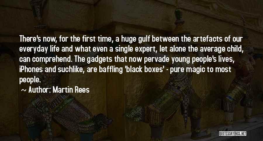 Black Boxes Quotes By Martin Rees