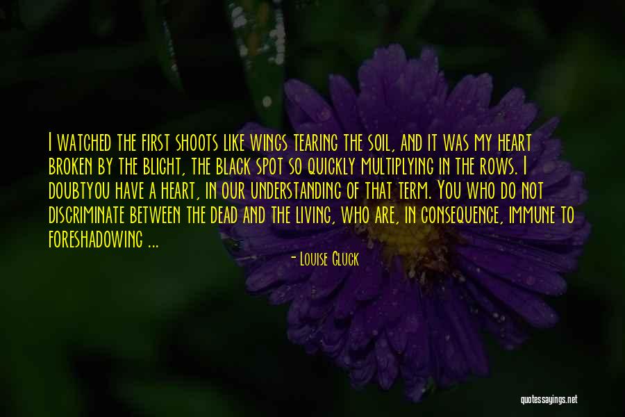 Black Broken Heart Quotes By Louise Gluck Black Broken Heart Quotes By Louise Gluck