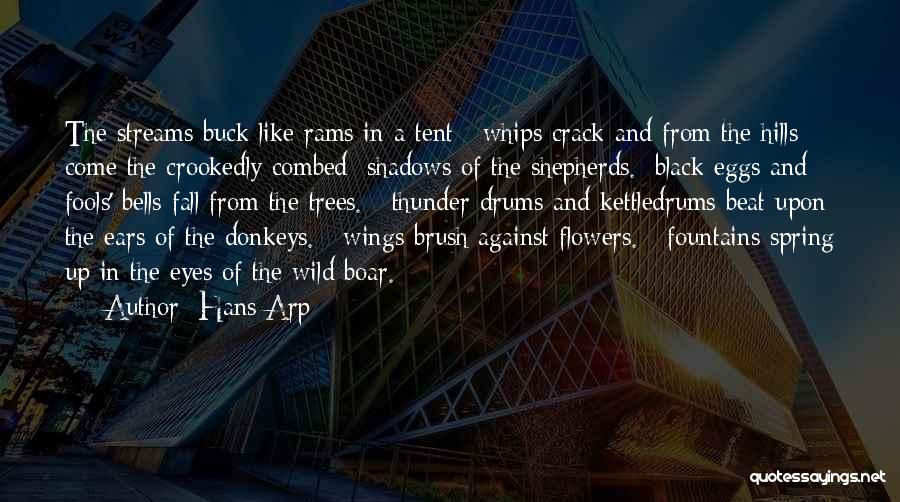 Black Buck Quotes By Hans Arp