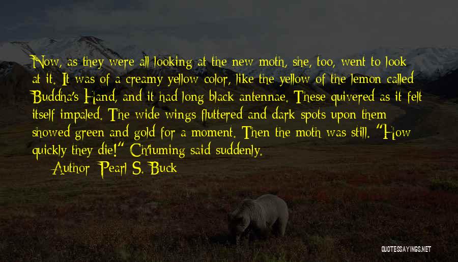 Black Buck Quotes By Pearl S. Buck