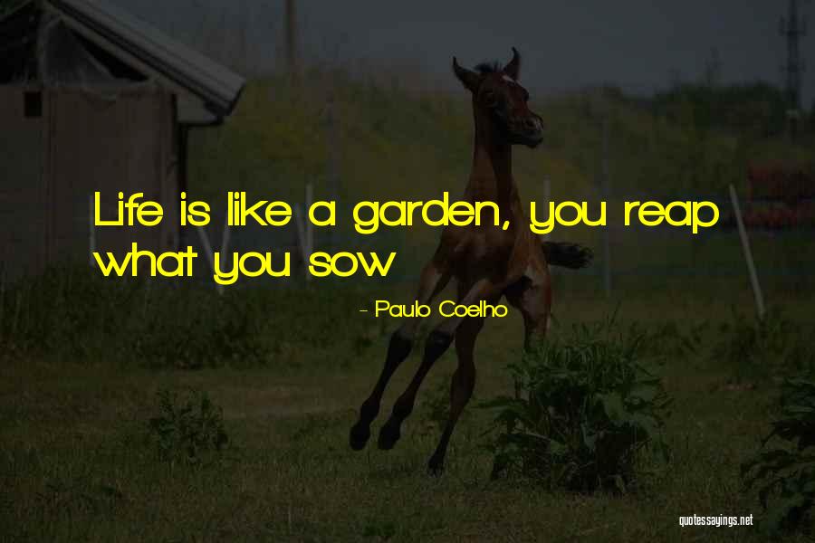 Black Bulldog Quotes By Paulo Coelho Black Bulldog Quotes By Paulo Coelho
