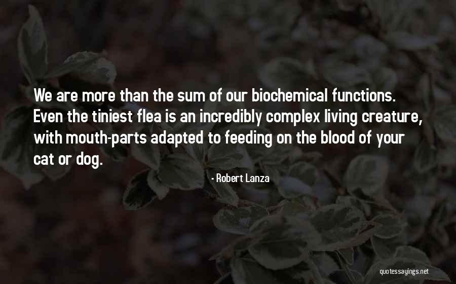 Black Bulldog Quotes By Robert Lanza Black Bulldog Quotes By Robert Lanza