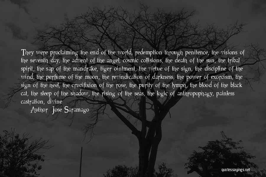 Black Cat Death Quotes By Jose Saramago