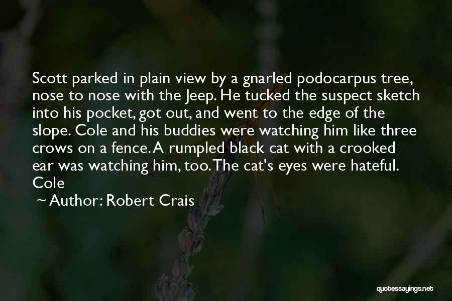 Black Cat Eyes Quotes By Robert Crais