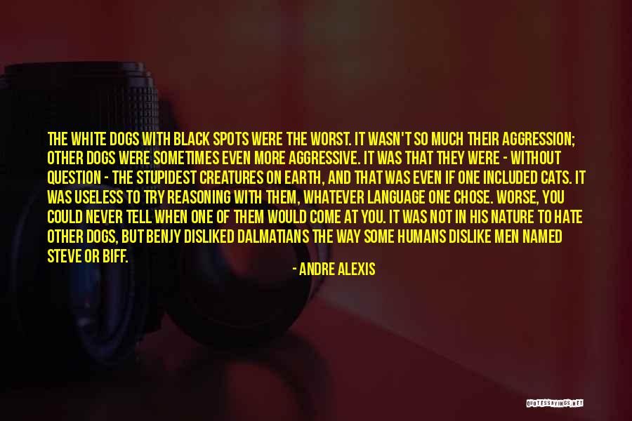 Black Cats Quotes By Andre Alexis