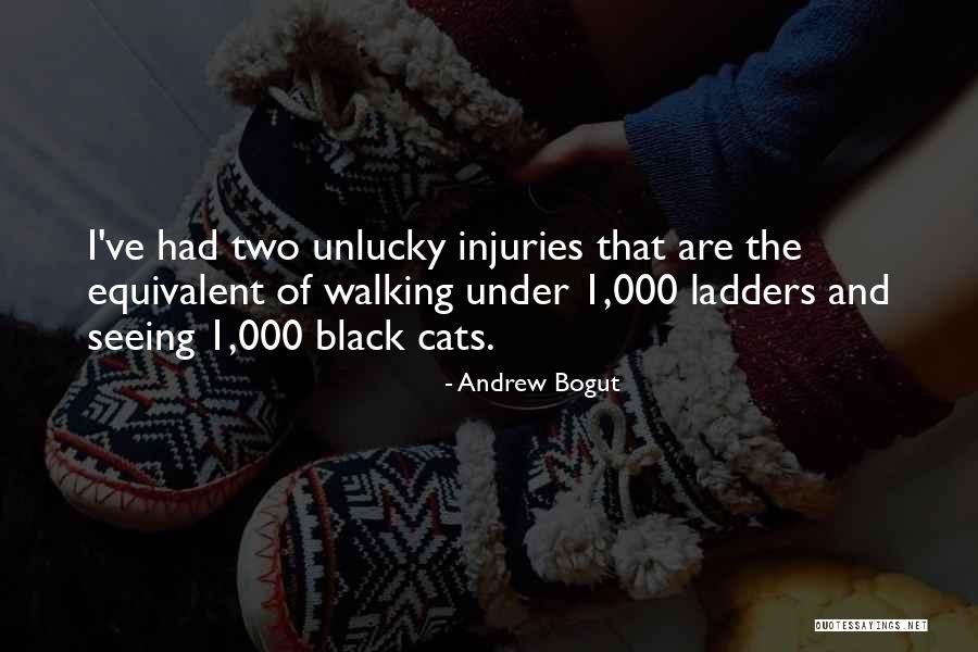 Black Cats Quotes By Andrew Bogut Black Cats Quotes By Andrew Bogut