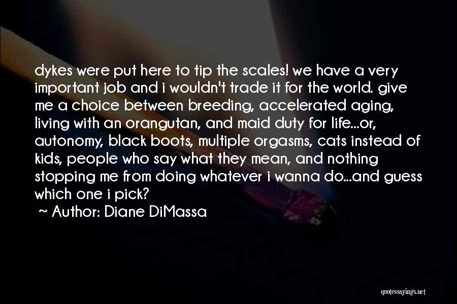 Black Cats Quotes By Diane DiMassa