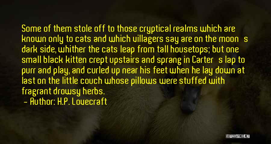 Black Cats Quotes By H.P. Lovecraft