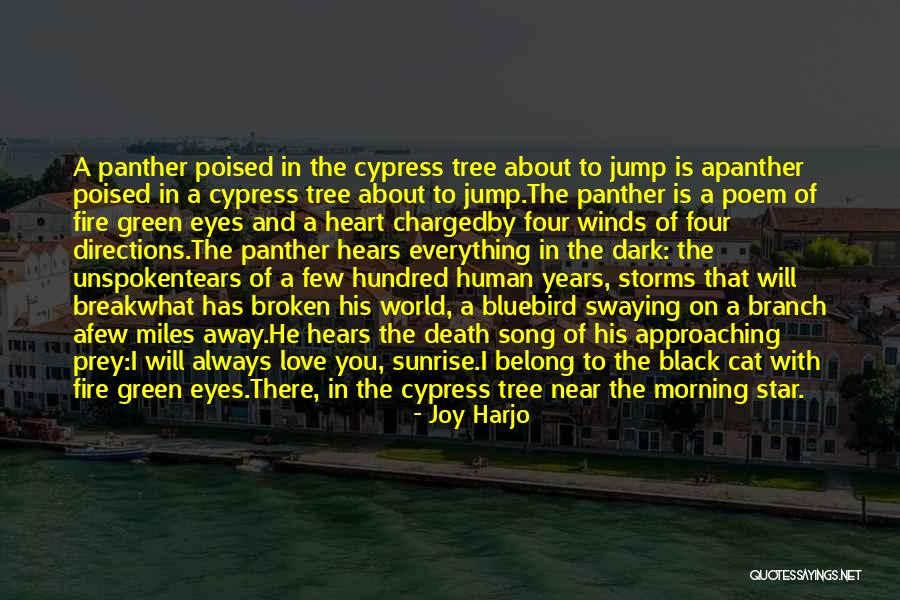 Black Cats Quotes By Joy Harjo