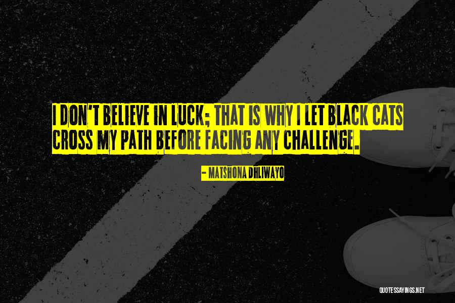 Black Cats Quotes By Matshona Dhliwayo Black Cats Quotes By Matshona Dhliwayo
