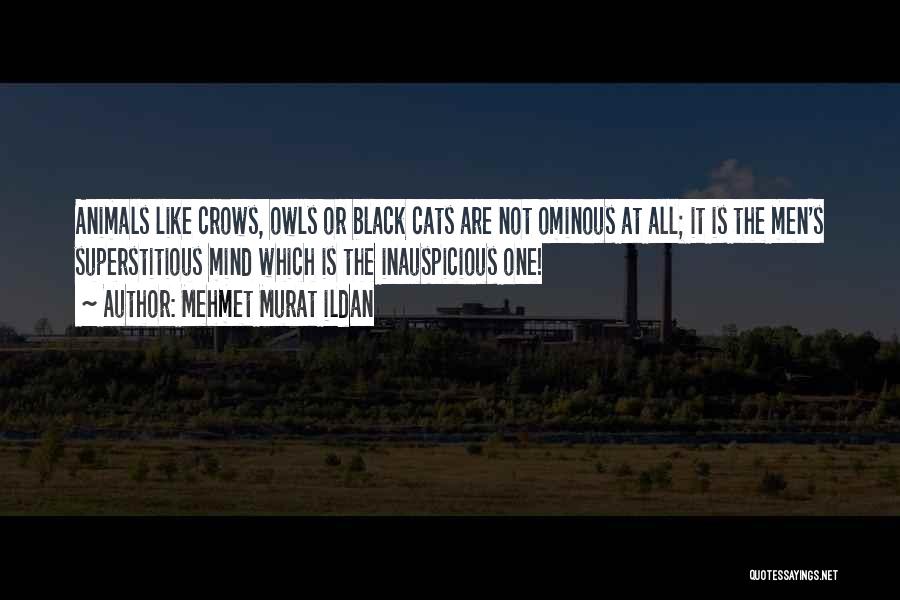 Black Cats Quotes By Mehmet Murat Ildan