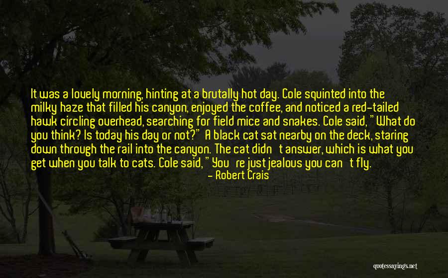 Black Cats Quotes By Robert Crais