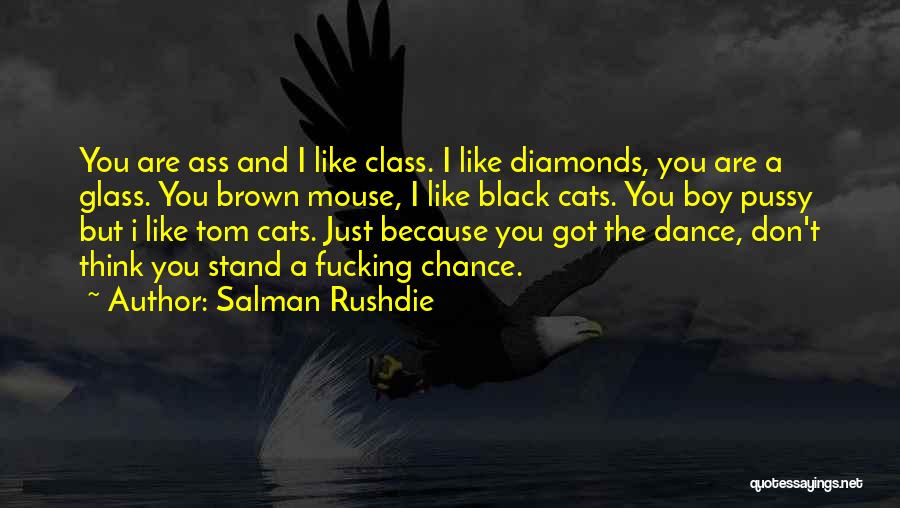 Black Cats Quotes By Salman Rushdie