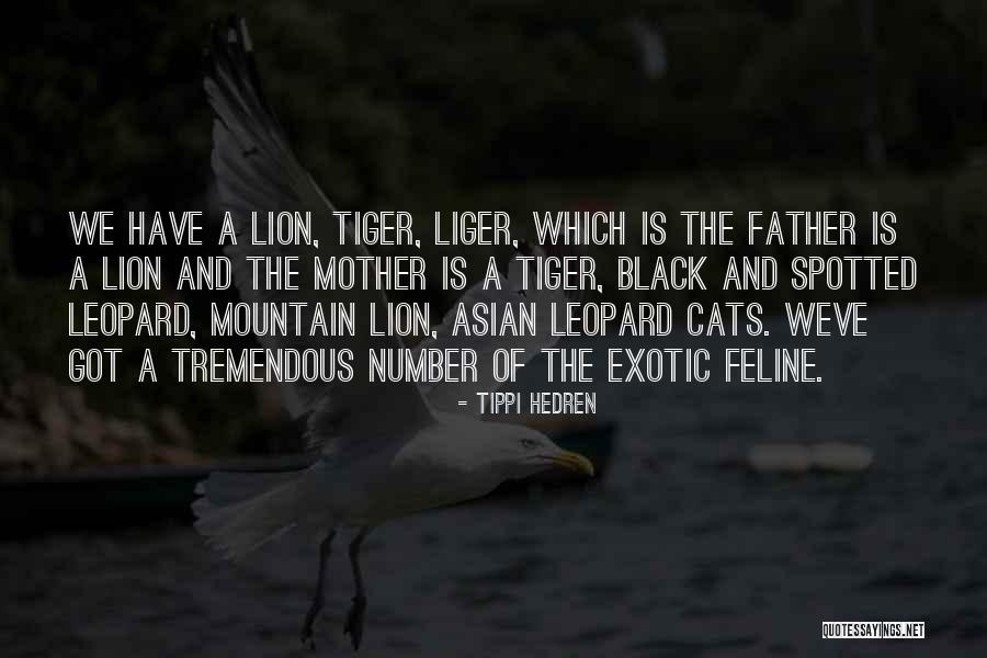 Black Cats Quotes By Tippi Hedren Black Cats Quotes By Tippi Hedren
