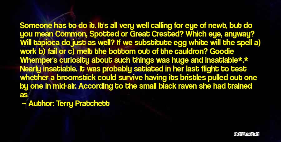 Black Cauldron Quotes By Terry Pratchett