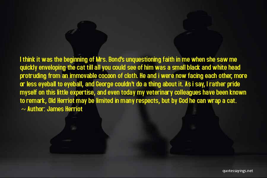 Black Cloth Quotes By James Herriot
