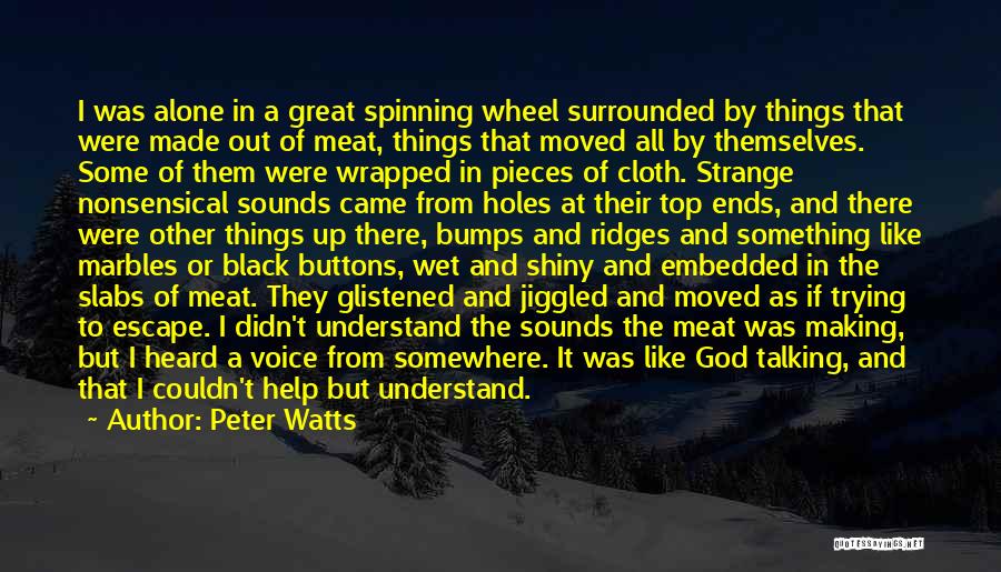 Black Cloth Quotes By Peter Watts