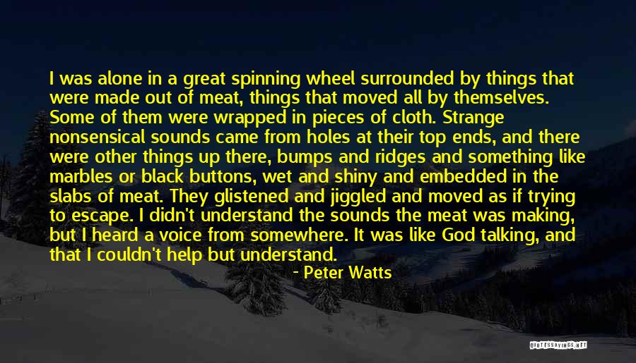 Black Cloth Quotes By Peter Watts