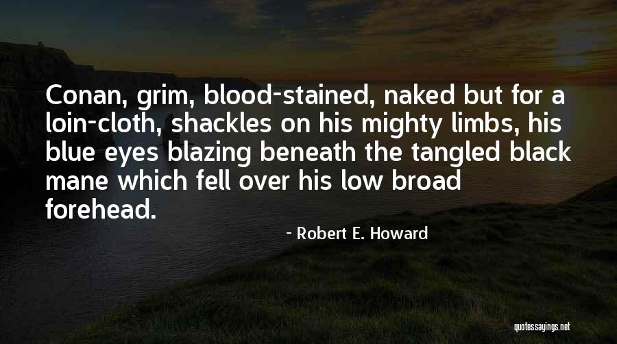 Black Cloth Quotes By Robert E. Howard