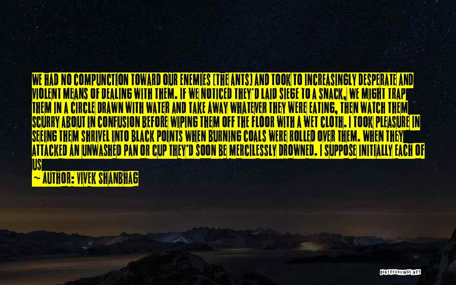 Black Cloth Quotes By Vivek Shanbhag