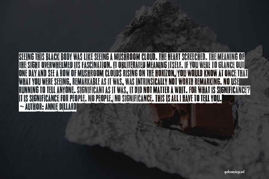 Black Clouds Quotes By Annie Dillard