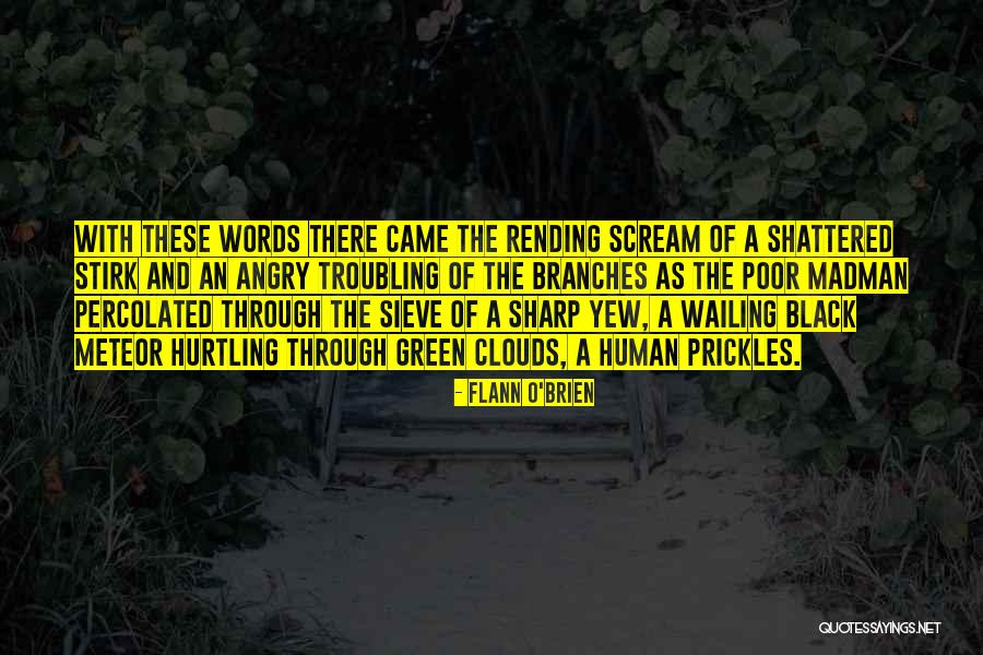Black Clouds Quotes By Flann O'Brien Black Clouds Quotes By Flann O'Brien