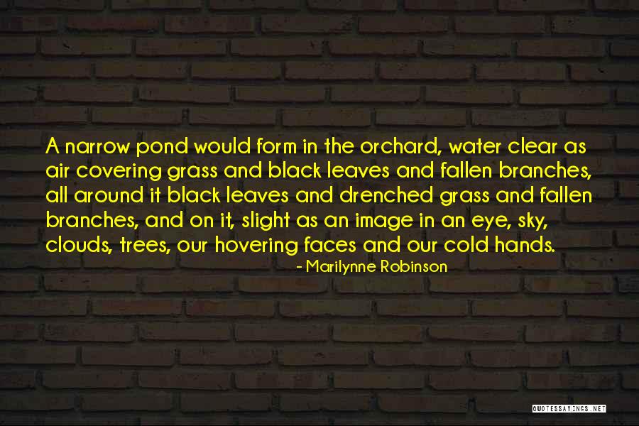 Black Clouds Quotes By Marilynne Robinson