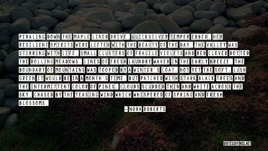 Black Clouds Quotes By Nora Roberts Black Clouds Quotes By Nora Roberts