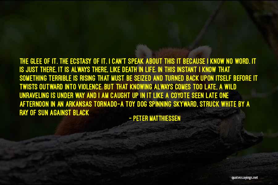 Black Clouds Quotes By Peter Matthiessen